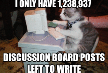 discussion board cat meme